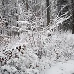 - Mazury Dom wakacyjny