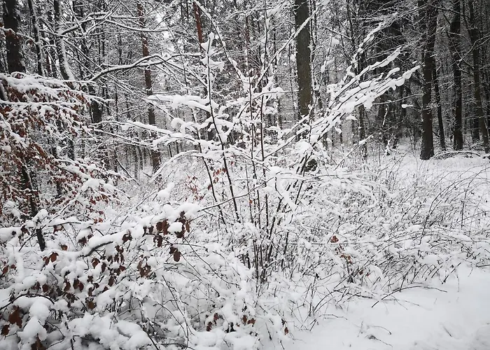 - Mazury Holiday home